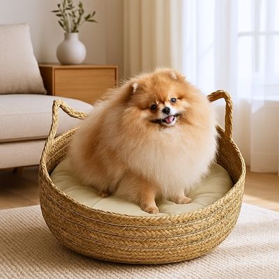 panier-osier-chien-pomeranien