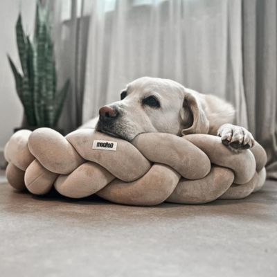panier-pour-chien-confortable