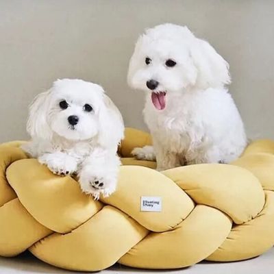 panier-pour-chien-deux
