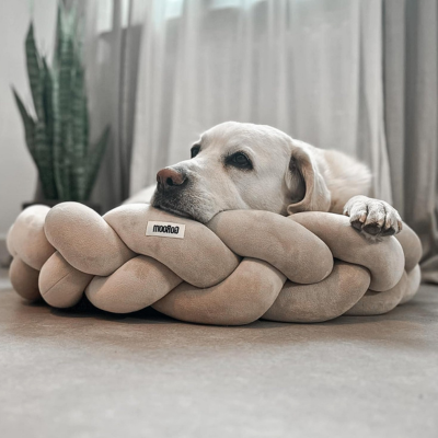 panier-pour-chien-elegant