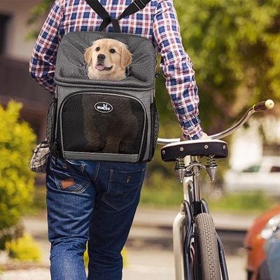 panier-velo-pour-chien-balades