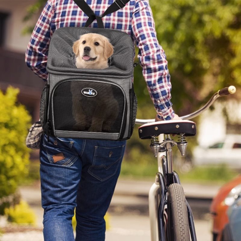 panier-velo-pour-chien-confort