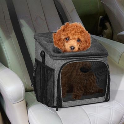 panier-velo-pour-chien-confortable