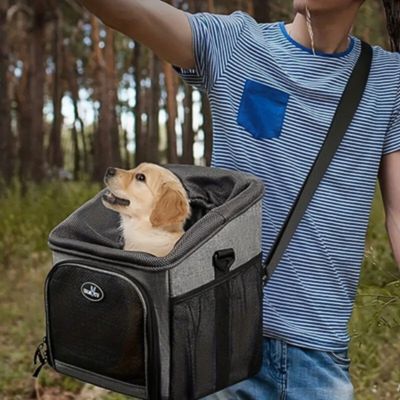 panier-velo-pour-chien-sortie