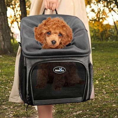 panier-velo-pour-chien-style