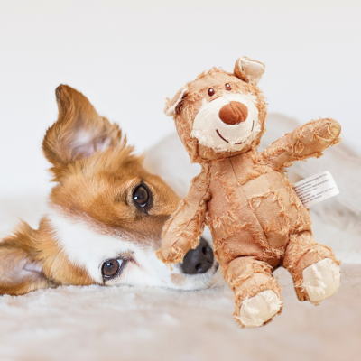 peluche-pour-chien-beige