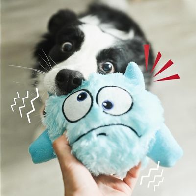 peluche-pour-chien-bleu