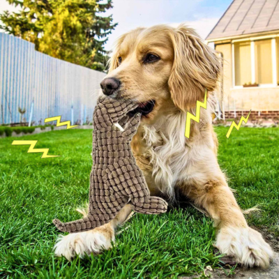 peluche-pour-chien-couineur