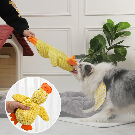 peluche-pour-chien-developpement