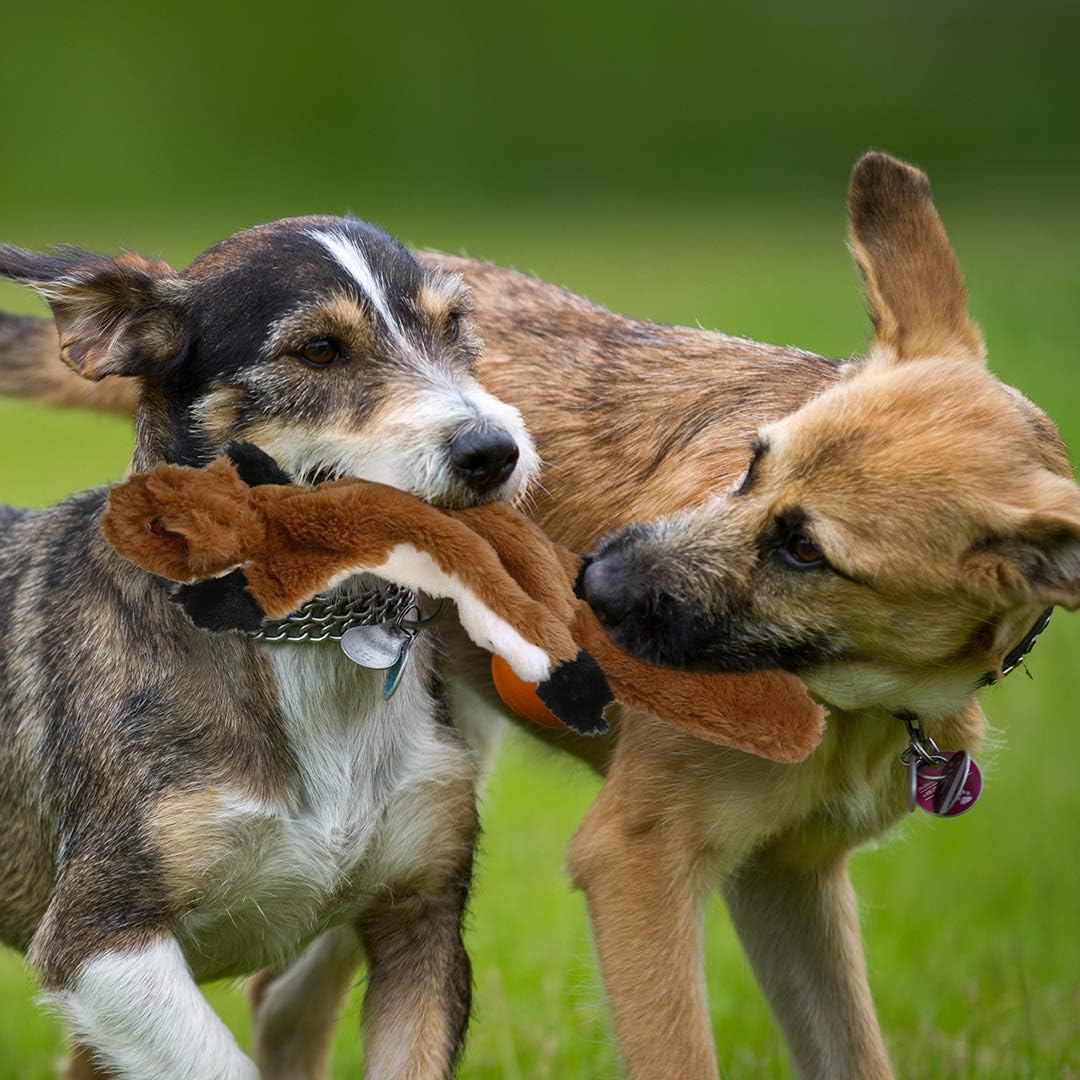 peluche-pour-chien-ecureuil