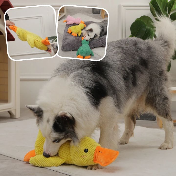 peluche-pour-chien-instinct