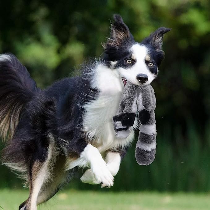 peluche-pour-chien-raton