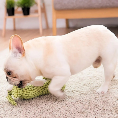 peluche-pour-chien-vert