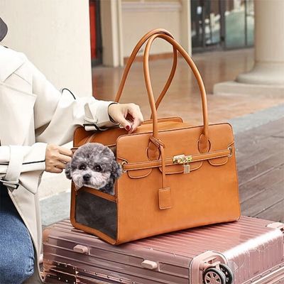 petit-sac-de-transport-pour-chien-cocon