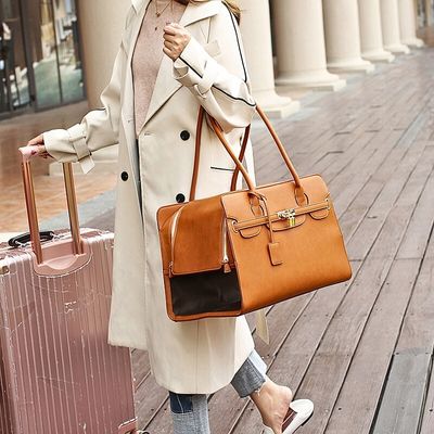 petit-sac-de-transport-pour-chien-deplacement