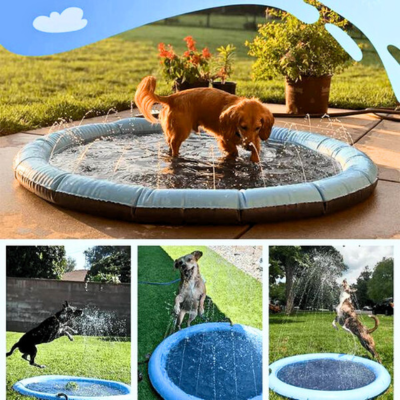 piscine-pour-chien-jets