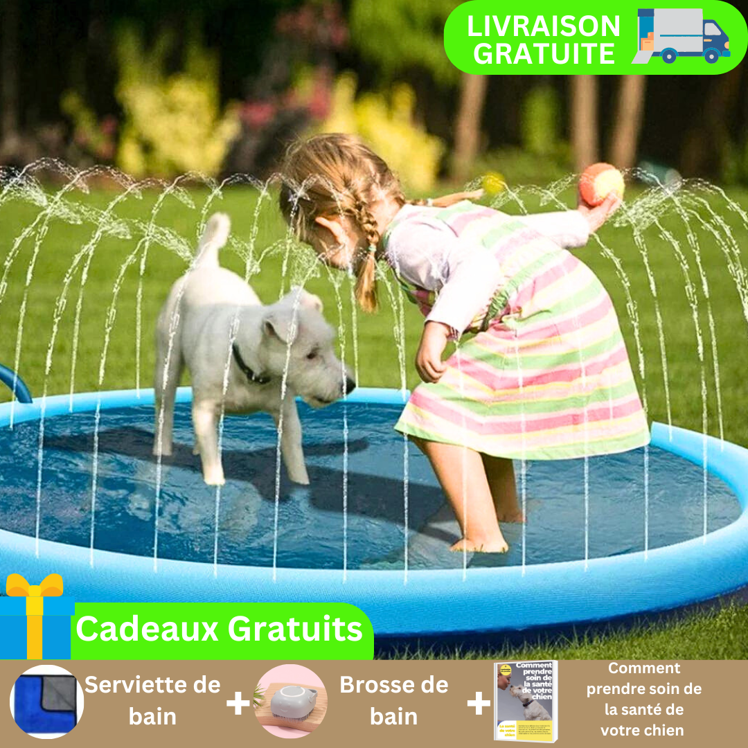 piscine-pour-chien-offre