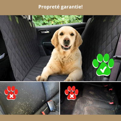 protection-voiture-chien-garantie