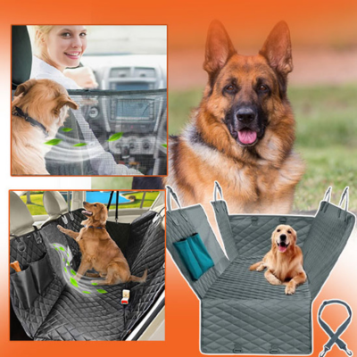 protection-voiture-chien-gris