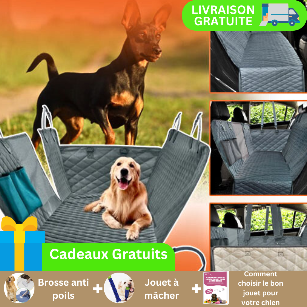 protection-voiture-chien-gris