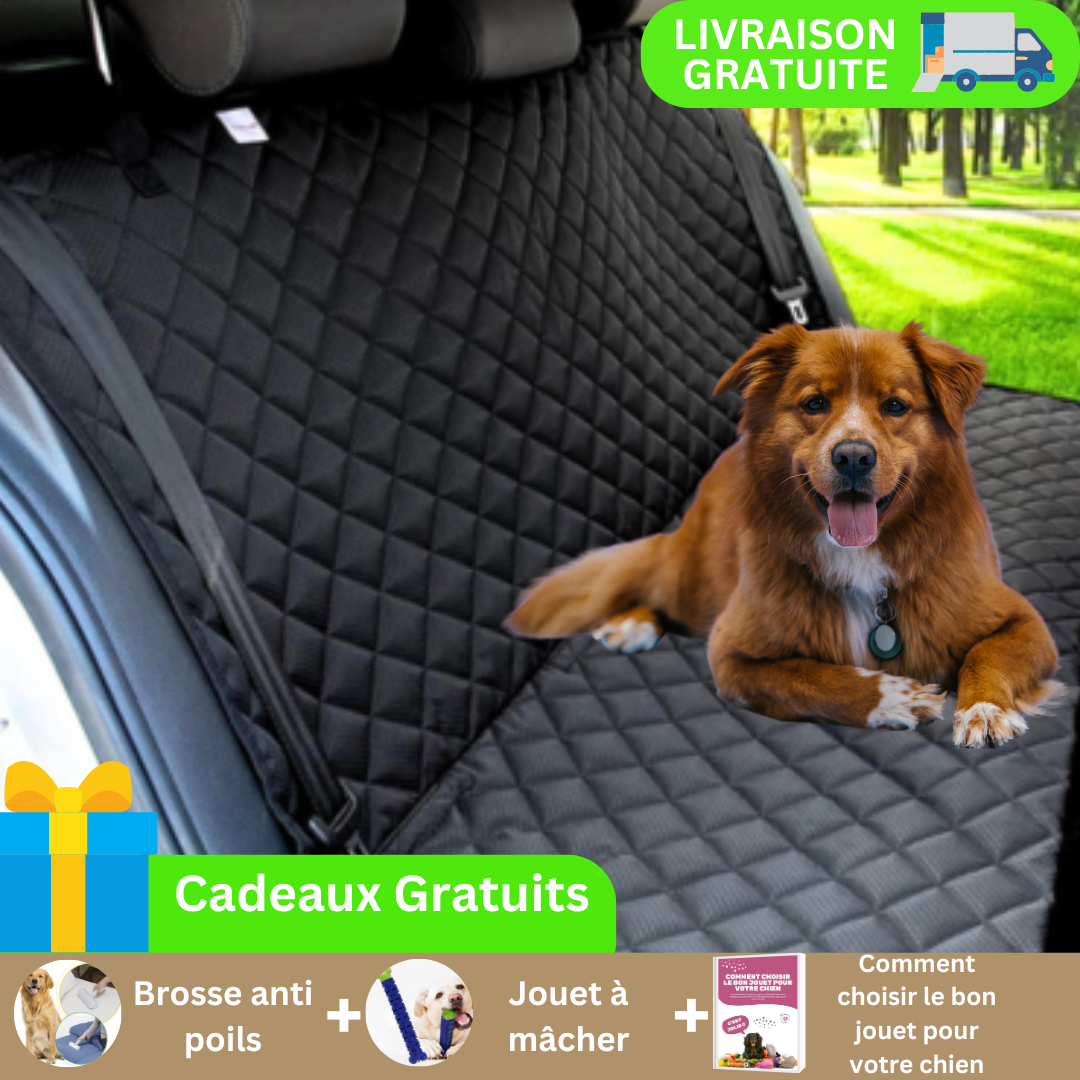 PROTECTION VOITURE CHIEN | Protec10/10™