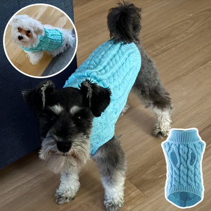 pull-chien-bleu