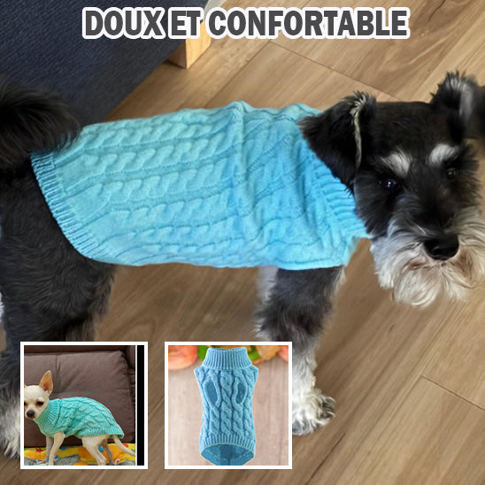 pull-chien-materiau