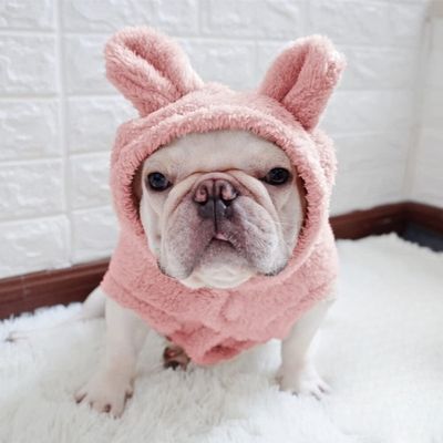 pull-pour-chien-ajuster