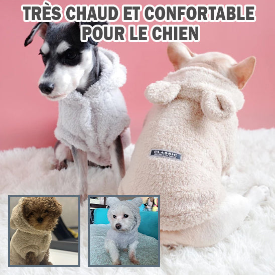 pull-pour-chien-confortable