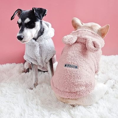 pull-pour-chien-deux