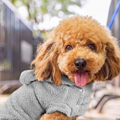 pull-pour-chien-doux