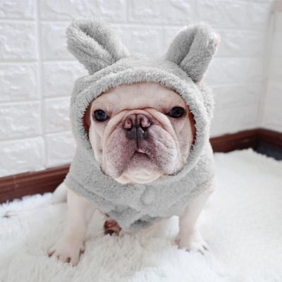 pull-pour-chien-gris