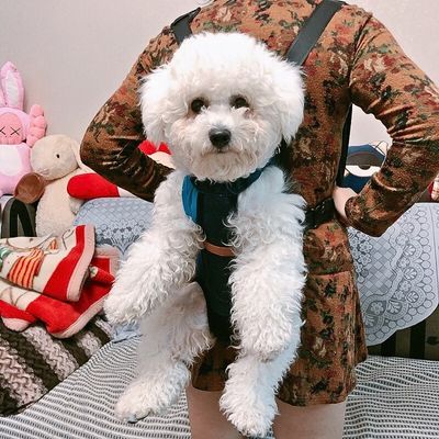 sac-a-dos-chien-avant