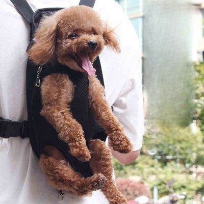 sac-a-dos-chien-balade