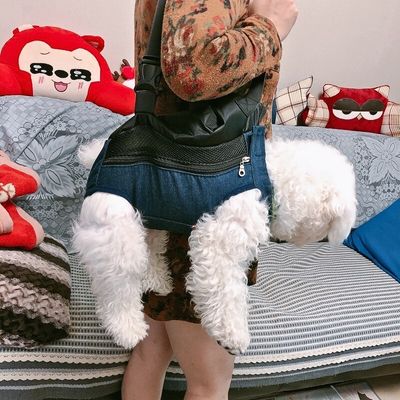 sac-a-dos-chien-epaule