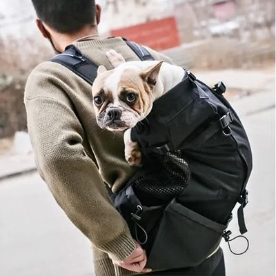 sac-a-dos-chien-rue