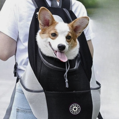 sac-a-dos-pour-chien-beau