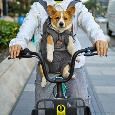 sac-a-dos-pour-chien-bicyclette