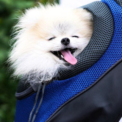 sac-a-dos-pour-chien-bleu