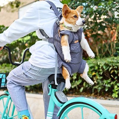 sac-a-dos-pour-chien-sortie