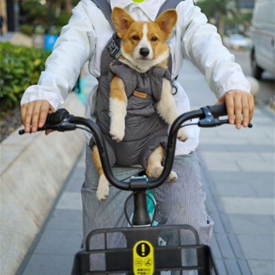 sac-a-dos-pour-chien-transport