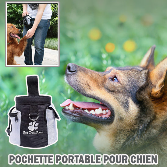 sac-à-friandises-pour-chien-caca