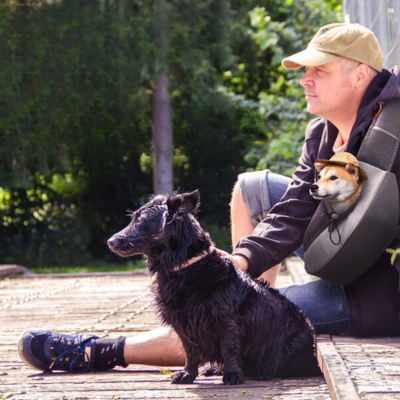 sac-de-transport-pour-chien-près