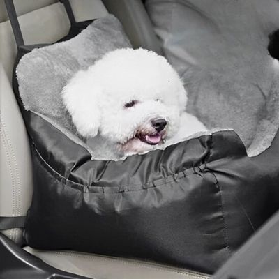 siege-auto-chien-peluche