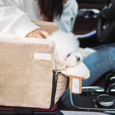 siege-auto-chien-place