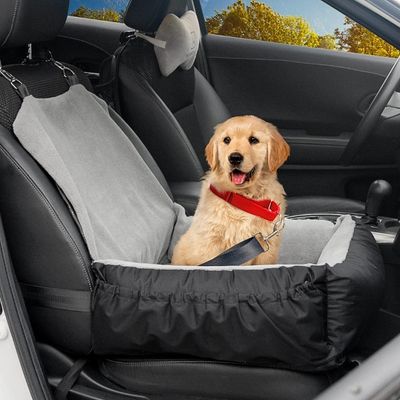 siege-auto-chien-securite