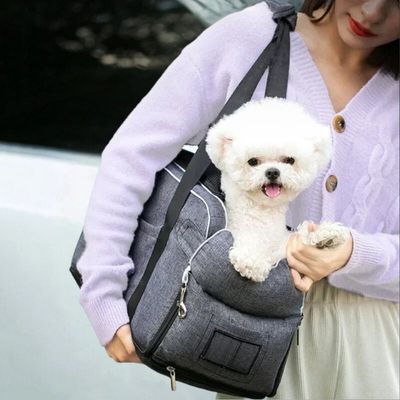 siege-auto-chien-transportable