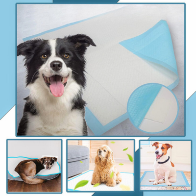 tapis-absorbant-chien-apprentissage