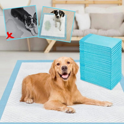 tapis-absorbant-chien-confortable