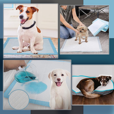 tapis-absorbant-chien-espace